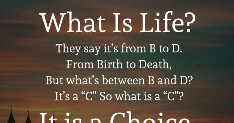 What Is Life? They Say It’s From B To D. From Birth To Death, But What ...